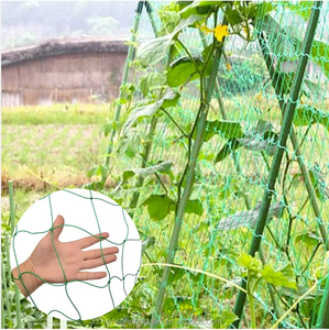 Garden <strong>Trellis</strong> <strong>Netting</strong> Plants Climbing <strong>Net</strong> UV Treated Polyethylene Vegetable Planting <strong>Net</strong> for Cucumber Grape Bean - Product Image 5