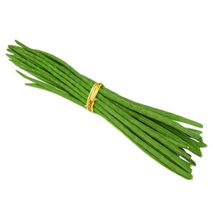 Şimdi mevcut kaliteli drumsticks satılık en iyi fiyat toptan taze uzun Drumstick - Product Image 5