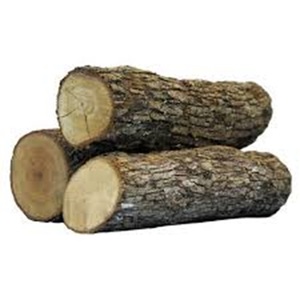 Round <strong>Teak</strong> and Pine Logs for Sale for Beech Woodworking Projects - Product Image 4