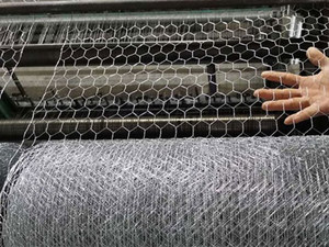 Fabrik Großhandel Hühnerkäfig Drahtnetz Rollen verzinktes sechseckiges Drahtnetz Hühnerdraht-Zaunnetz - Product Image 3