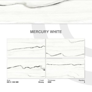 阿拉斯加系列Ncraze陶瓷600 x 1200毫米现代内墙瓷砖公寓隔热抗菌功能印度