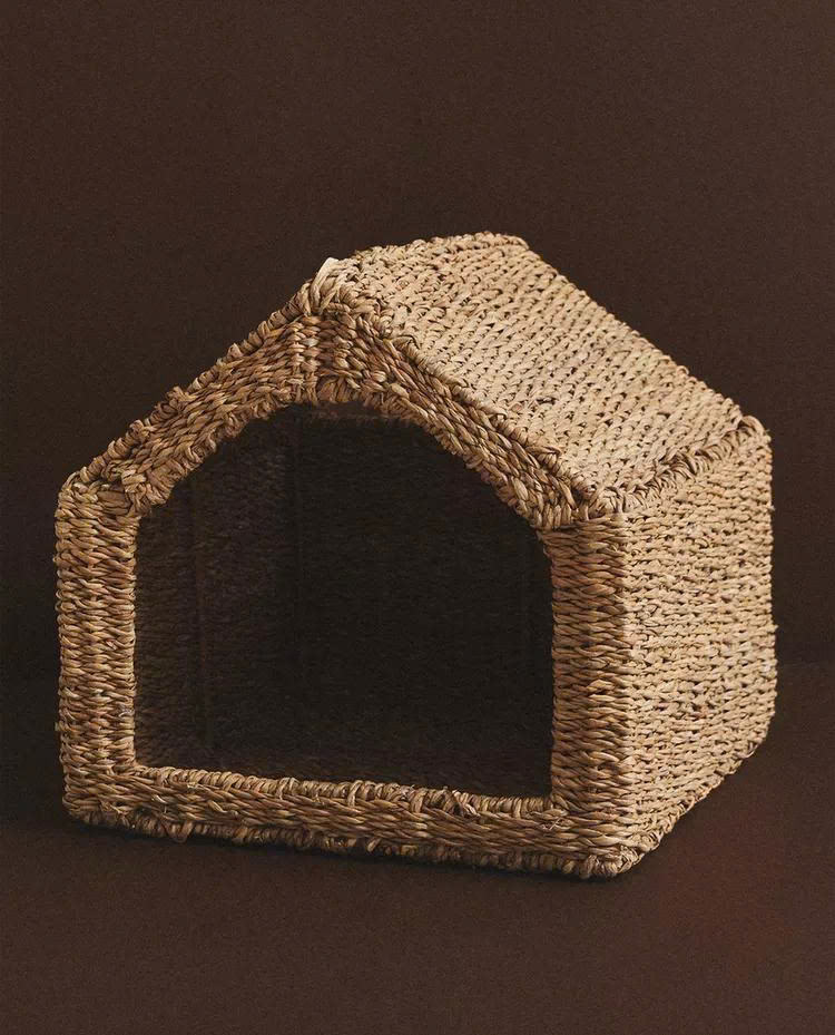 เป็นรูปถ่าย