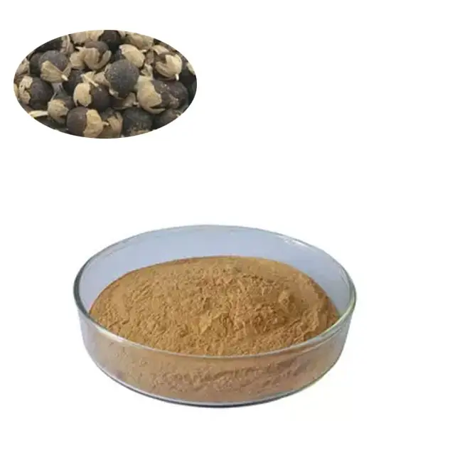Polvere di estratto di frutta di Chasteberry essiccata pura e biologica della migliore qualità a un prezzo accessibile dall'india