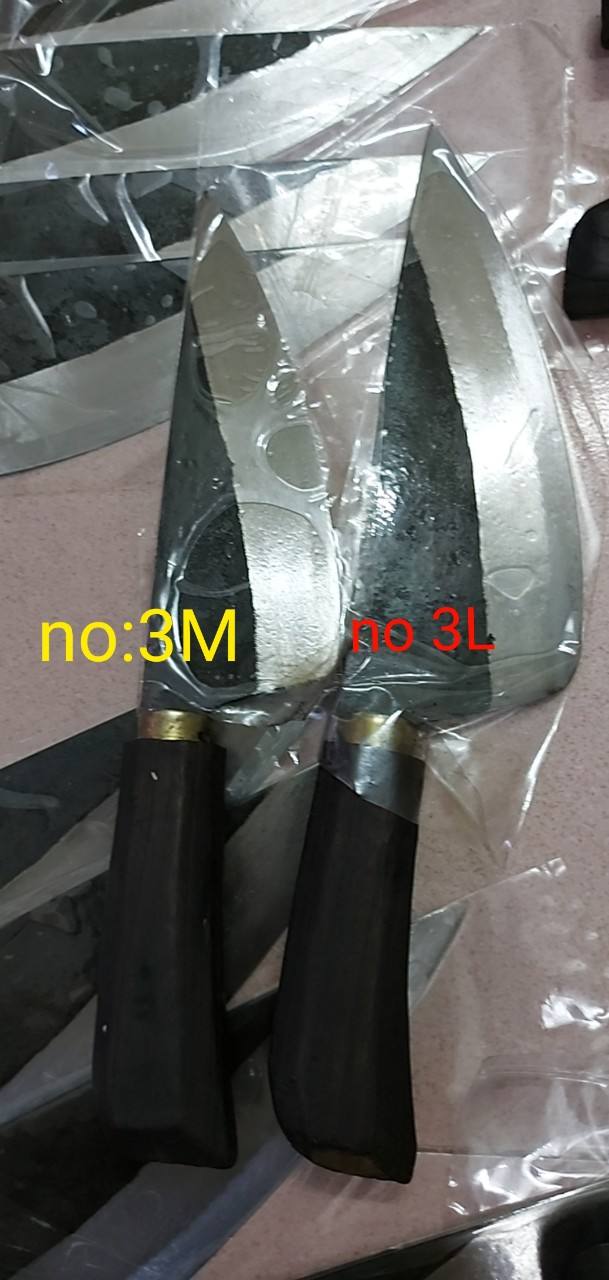 สีดำหรือในขณะที่