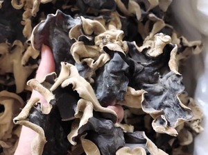 Best Selling 2024 Wholesales oyster Mushroom - Dried <strong>Shiitake</strong> Mushroom High Quality Dried Black Forest Mushroom From Vietnam - Product Image 2