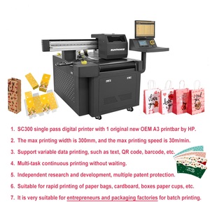 Sunprinter yazıcı üreticisi 1 kafa dijital kağıt torbalar yazıcı tek geçişli karton kutu otomatik besleyici ile baskı - Product Image 2