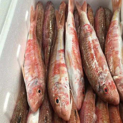 500-800G de Tilápia Vermelha Congelada com Peixe BQF de Tilápia