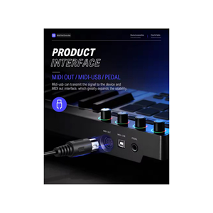 Оптовая продажа Donner StarryKey 25 Midi контроллер клавиатуры 25 клавиш Usb цифровая аудио Музыка студия пианино 25 клавиш для музыкальных инструментов - Product Image 6