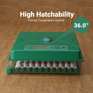 High Quality 70 Egg <strong>Chicken</strong> Incubator with Digital Display and Automatic Turning System ECO PROFI <strong>C</strong>-70 - Product Image 2