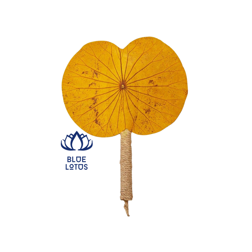 สีเหลือง