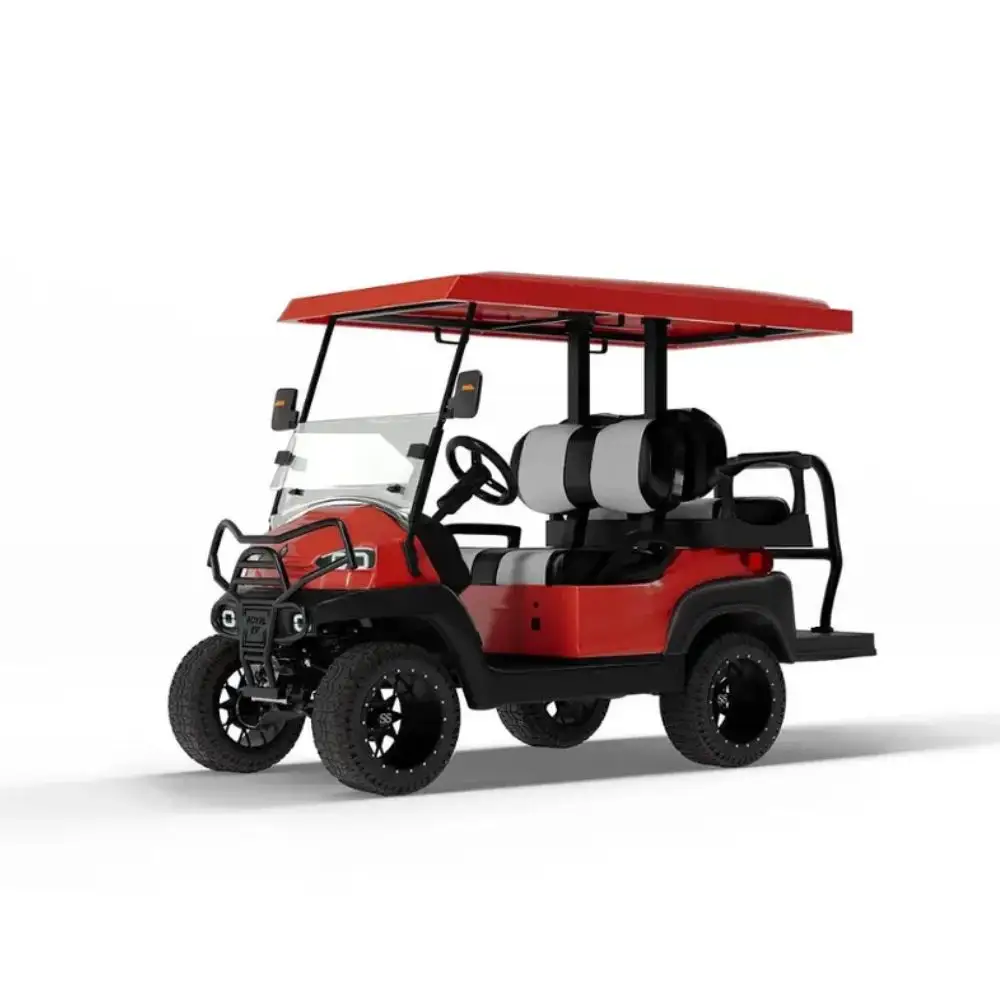 Scooter de golf eléctrico de cuatro ruedas a gas de gran venta con almacenamiento y carga de controlador de tiempo de metal