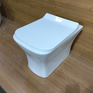モダンセラミックワンピースボウルビデWCセット壁掛け式、ホテル用吊り下げ式リムレスフラッシュフロア-取り付けられた便器