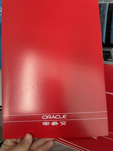 Oracle Database 20C/19C Standard Edition Original dienst Oracle Standard 20C/19C - Product Image 2