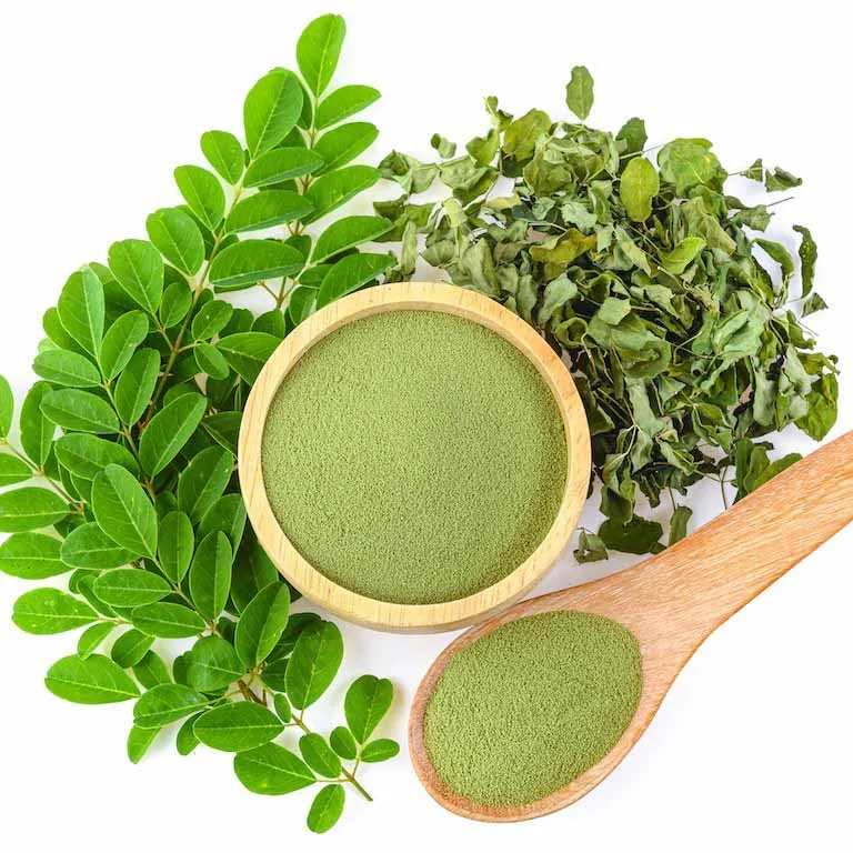 Polvere di Moringa dal Vietnam OEM private label Superfood Moringa capsule polvere di foglie di Moringa