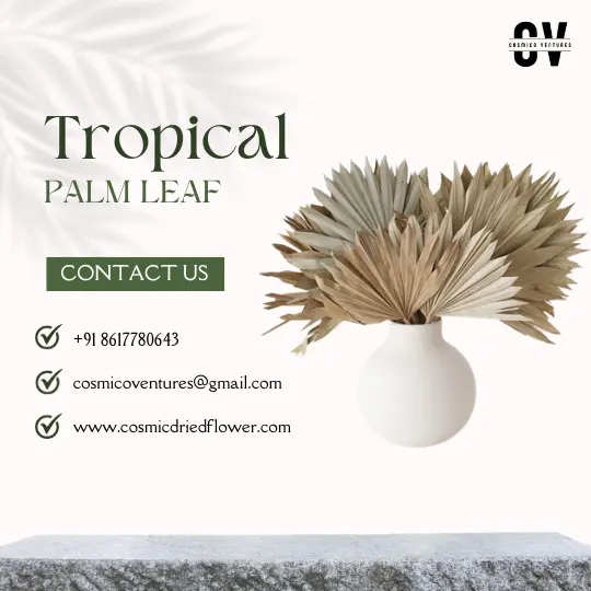 Auténticas hojas de palma secas tropicales naturales conservadas y arregladas con resina y plantas de flores para regalos de decoración de jardín exótico