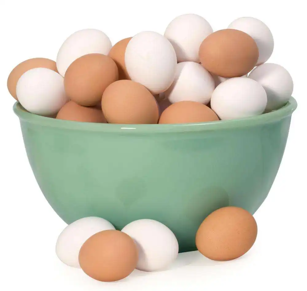 Œuf de poulet à couver fermable/œufs de Table de poulet frais/œufs de caille