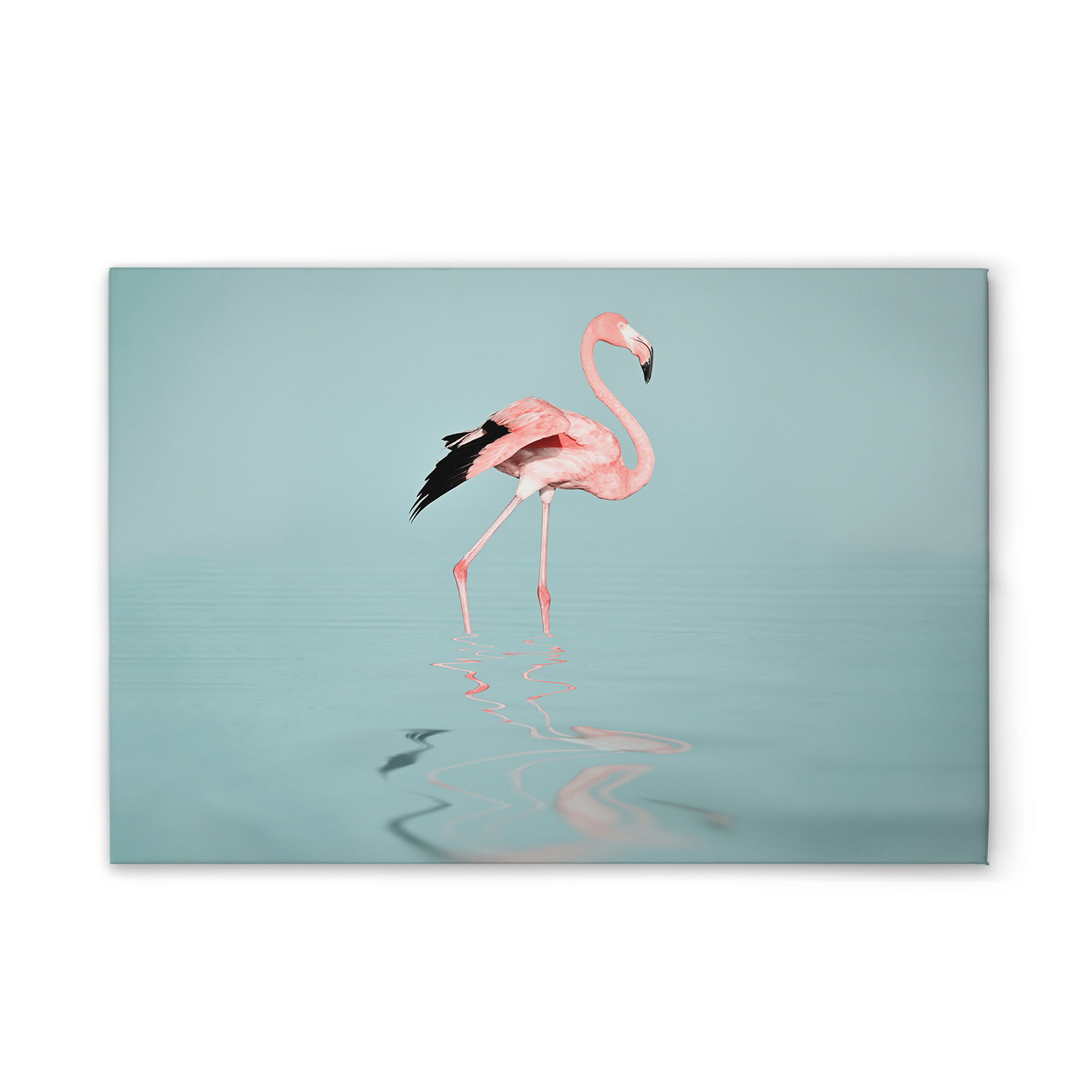 Bleu, Rose, Gris