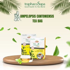 Ampelopsis cantoniensis 100% ชาสมุนไพรอบแห้ง20ถุง/กล่องอายุการเก็บรักษา36เดือนถุงชาคุณภาพสูง