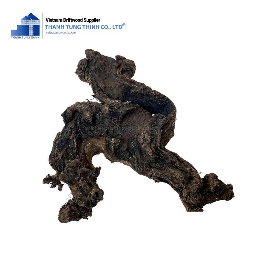 ธรรมชาติ