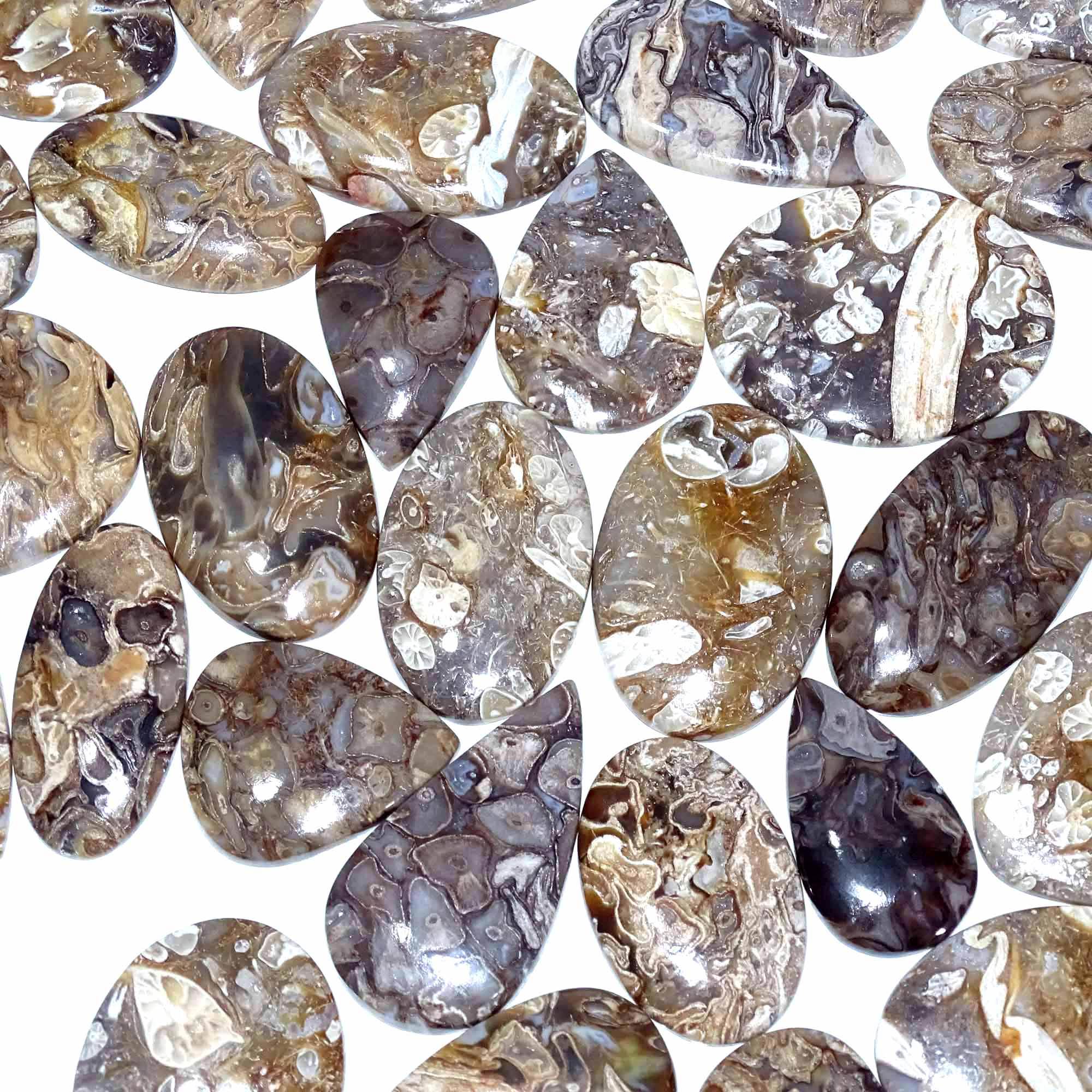 ตามที่แสดงในภาพ