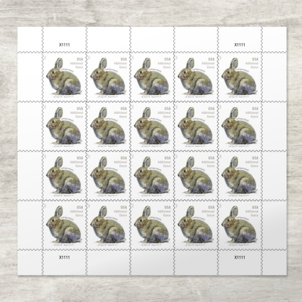 2021 Brush Rabbit 500374-I6-87-21LT