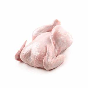 Top Brazilian / Brazilian Complete <strong>Chicken</strong> High Quality <strong>Chicken</strong> Meat Wholesale Prices Fresh Frozen Halal Frozen <strong>Chicken</strong>