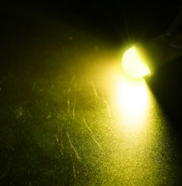 Jaune doré