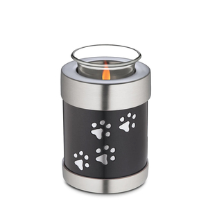 Işık gül altın yansımaları <span class=keywords><strong>Soul</strong></span> Tealight Urn mükemmel bir boyut için kitap rafı veya küçük masası ev