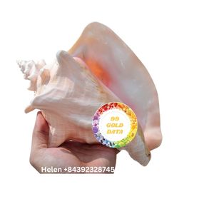 Büyük deniz kabuğu toptan VIETNAM büyük boy pembe kabuklu deniz hayvanı kabuğu güçlü ve gerçek dokunmatik VIETNAM CRAFTERS tarafından sağlanan