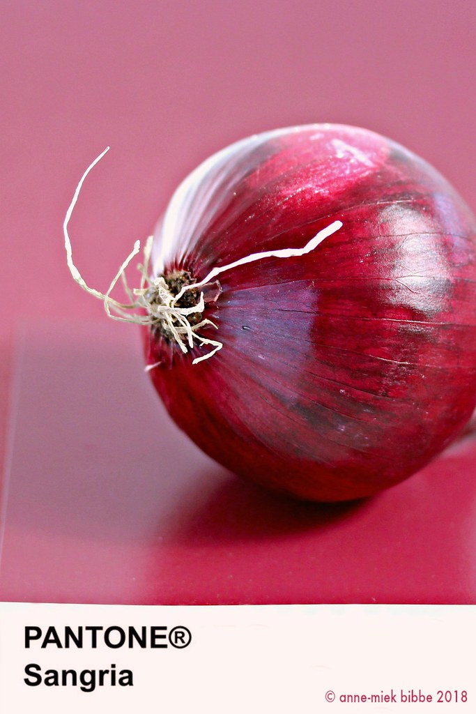 onion pink