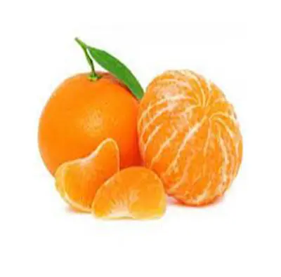 Top Quality Fresh Mandarin Egypt Origin Tangerine Wholesale Sweet Citrus Fruits New Crop OEM Private Label Fast Shipping