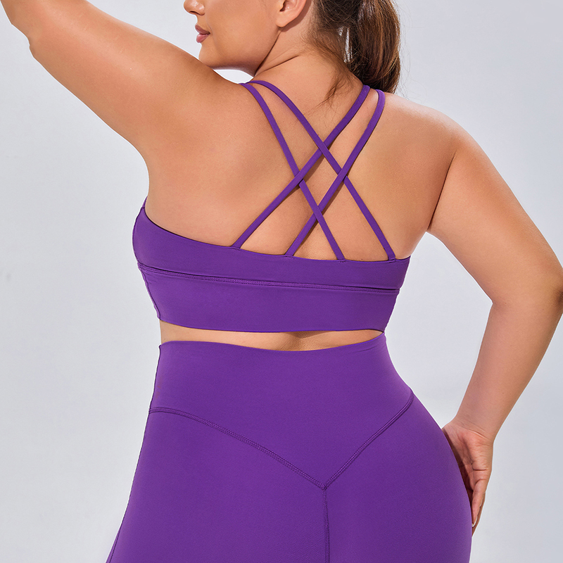 Bra-Purple