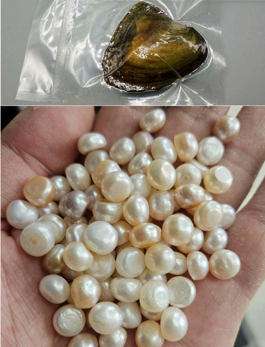 Style de perle bouton (une perle, perles de couleurs mélangées 9-10 mm)