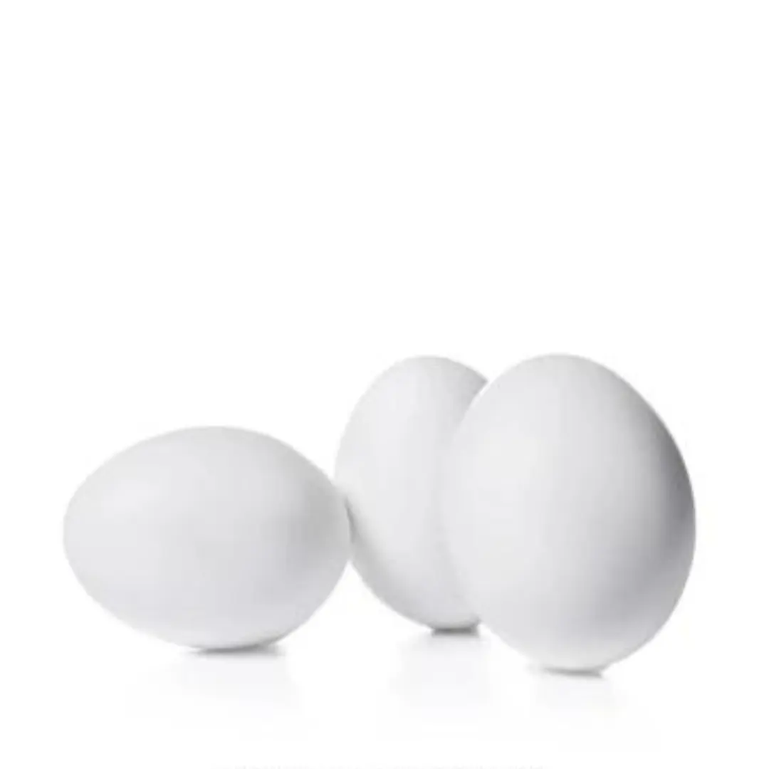 Premium Quality Farm Fresh Chicken Table Eggs Brown and White Shell Chicken Eggs Available For Export