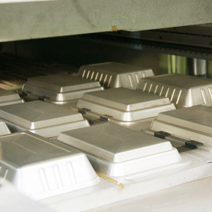 PS Polystyrol schaum Einweg Thermo col Lebensmittel behälter Lunchbox Teller Geschirr Tablett herstellungs maschine