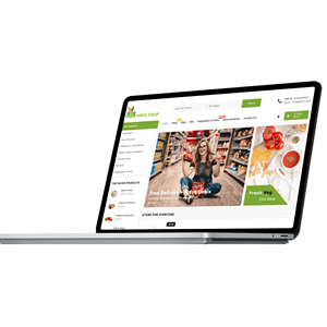 Shopify Website-Entwicklung | Attraktives Unternehmens-Website-Design E-Commerce-Website-Bauhauser - Product Image 1