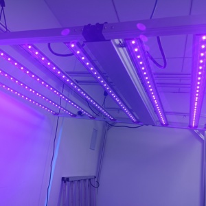 BAVAGREEN yeni 1000W ticari <span class=keywords><strong>LED</strong></span> Grow ışık çubuğu UV IR üç kanal karartma kapalı bitkiler lamba için 4X4 4X6FT büyüyen çadır