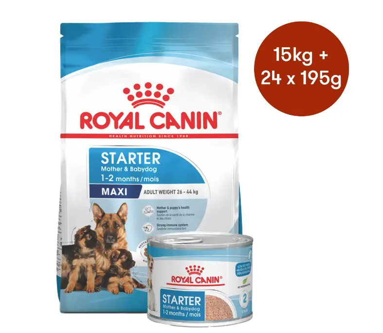 Royal Canin Size Health Nutrition Starter Mother & Babydog - Maxi Nourriture sèche pour chien