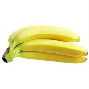 HOT SALE THE BEST PRICE WITH HIGH STANDARD FRESH GREEN CAVENDISH BANANA