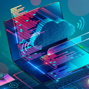 API Integrationによるカスタマーソフトウェア開発 - Product Image 1