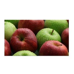 Sweet Fresh Royal Gala <strong>apple</strong> Fresh Fuji and Red Star <strong>Apples</strong> and Other Fresh Fruits at Wholesale Price in Bulk for <strong>Export</strong> - Product Image 4