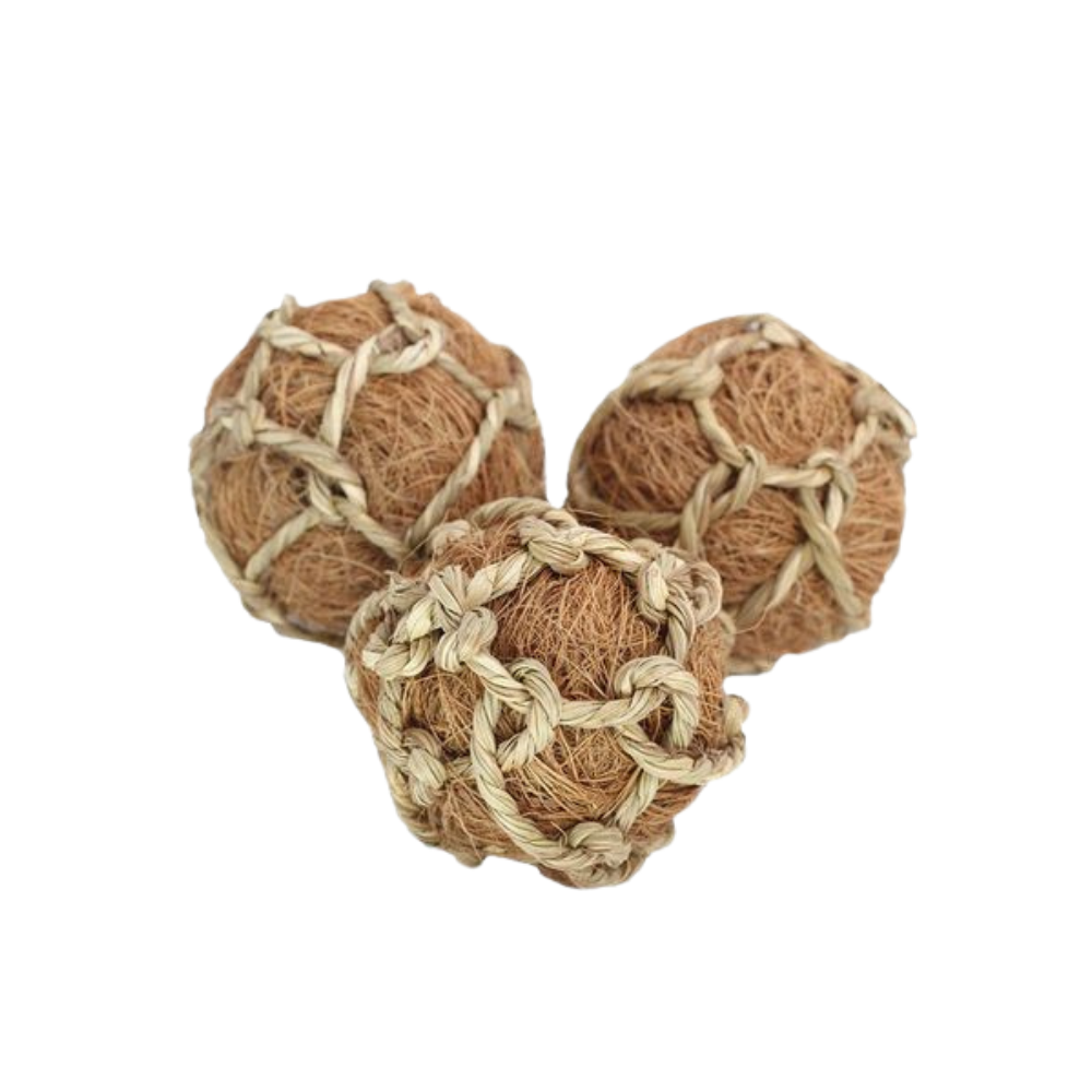 ธรรมชาติ