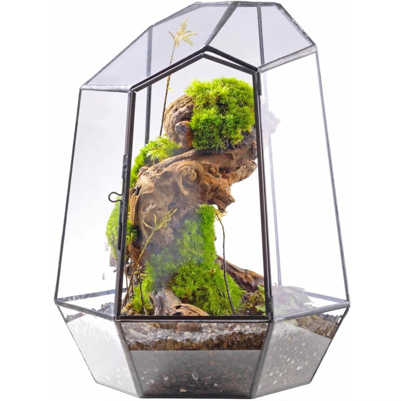 ตามที่แสดง