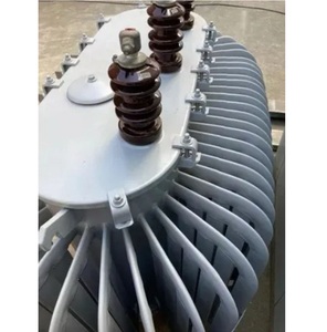 Amplificatore a basso prezzo di frequenza recinzione elettrica a più uscite trasformatore di messa a terra