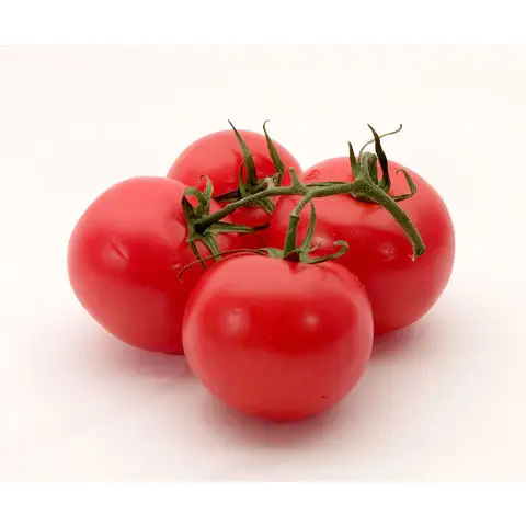 Pâte de tomate de qualité, Double concentré, pâte de tomate en conserve 400g, étain 28-30% brix 500g, offre spéciale