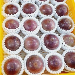 Star Apple ผลิตในเวียดนาม - Product Image 5