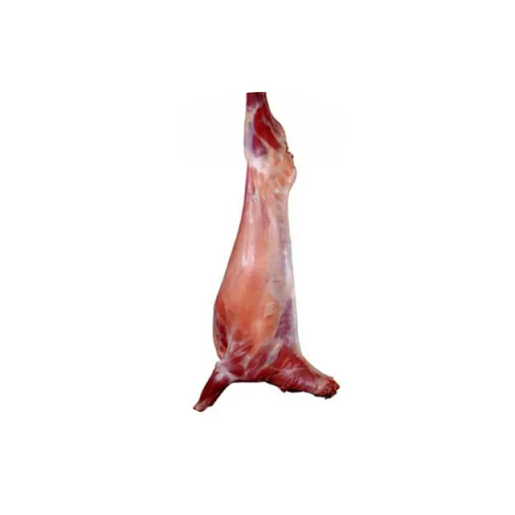 HALAL FRESH FROZEN GOAT/ MUTTON MEAT/ LAMB MEAT CARCASS CANADA