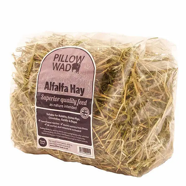 Buy Organically Made Alfalfa Hey with Customized Size Packing For Sale By Indian Exporters Wholesale Prices