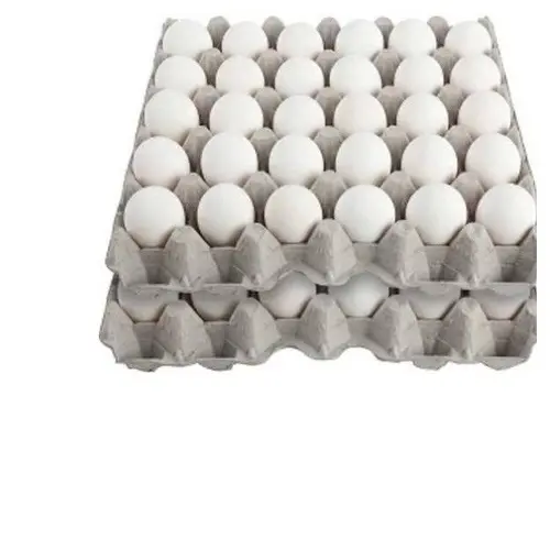 رخيصة مزرعة طازج قشرة بيضاء طاولة بيض دجاج عضوي طازج بيض تفريخ مخصب
