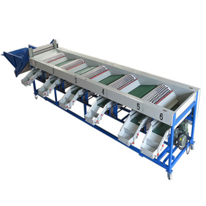 Precision <strong>Sorting</strong> Efficient Packaging <strong>Automation</strong> for Fruits Vegetables Automatic Weighing <strong>Sorting</strong> <strong>Machine</strong> Fruit Processing Plant - Product Image 2